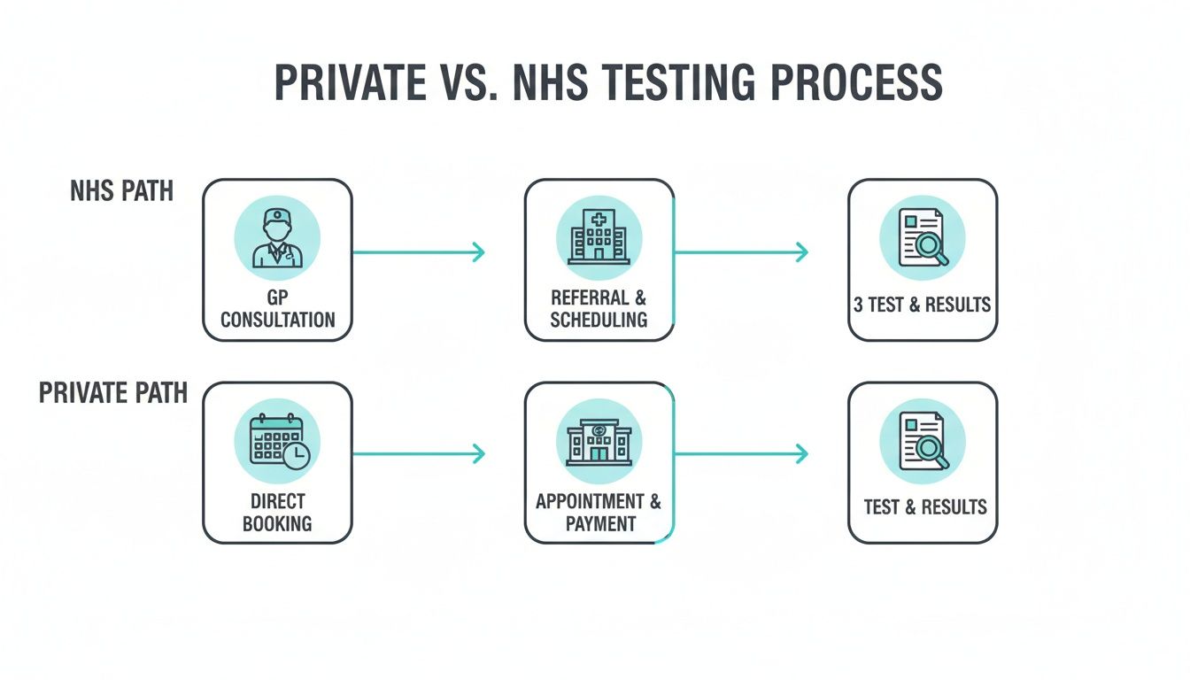 Diagram comparing the NHS and Private blood testing processes, showing consultation, referral, and testing steps.
