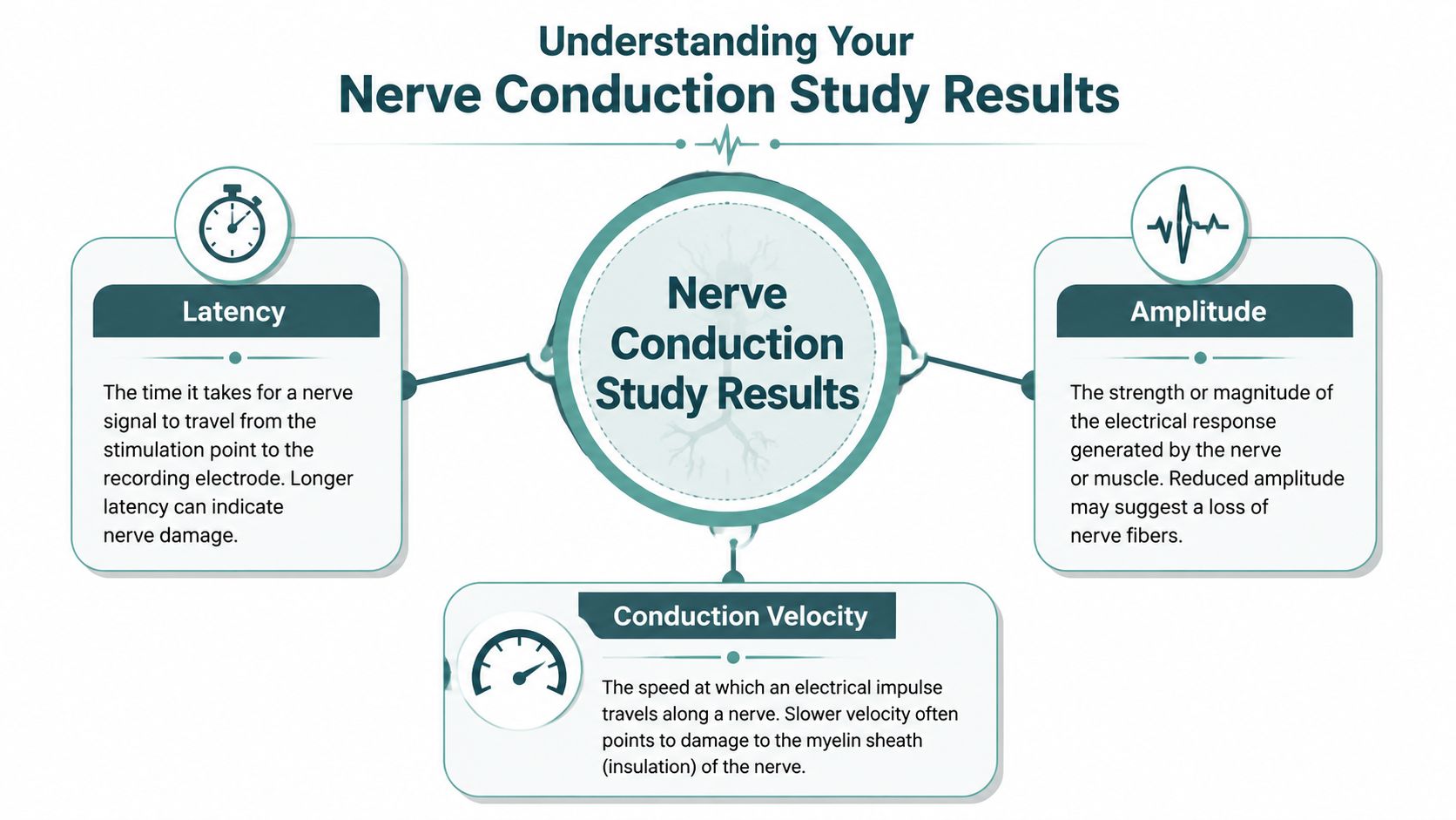 An infographic explaining Nerve Conduction Study results, including definitions for latency, amplitude, and conduction velocity.